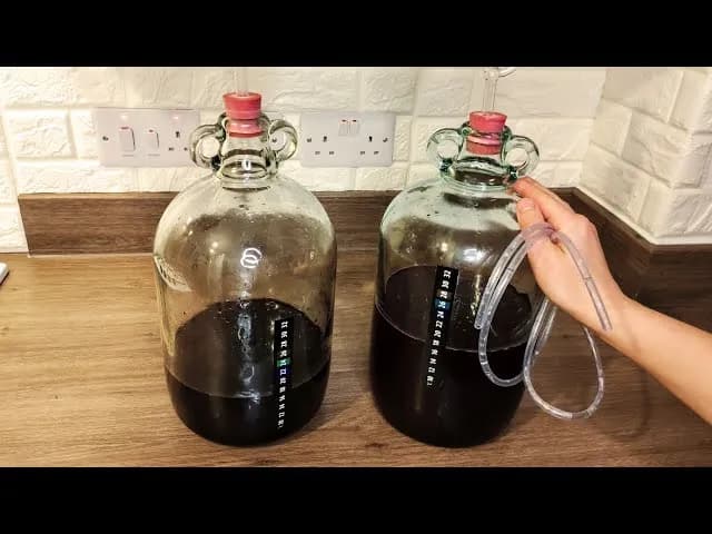 Jak przefiltrować wino: proste metody na klarowne i czyste wino