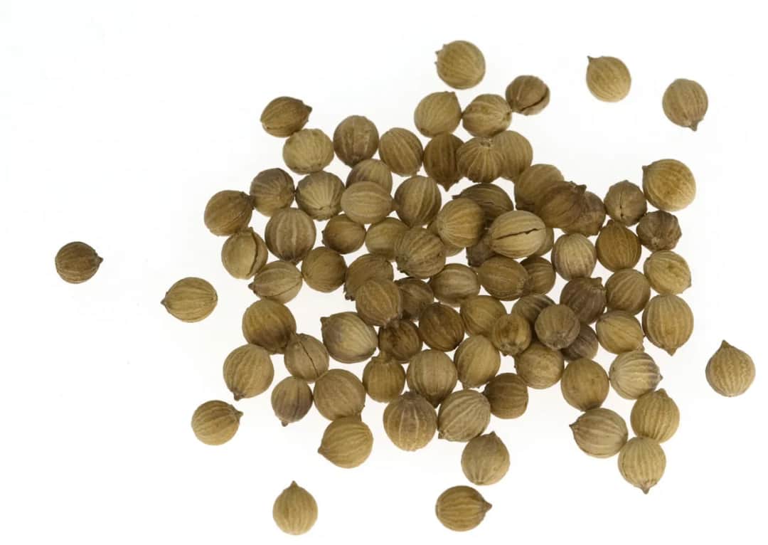 Gdzie kupić olej z kolendry? Sprawdź najlepsze oferty i ceny