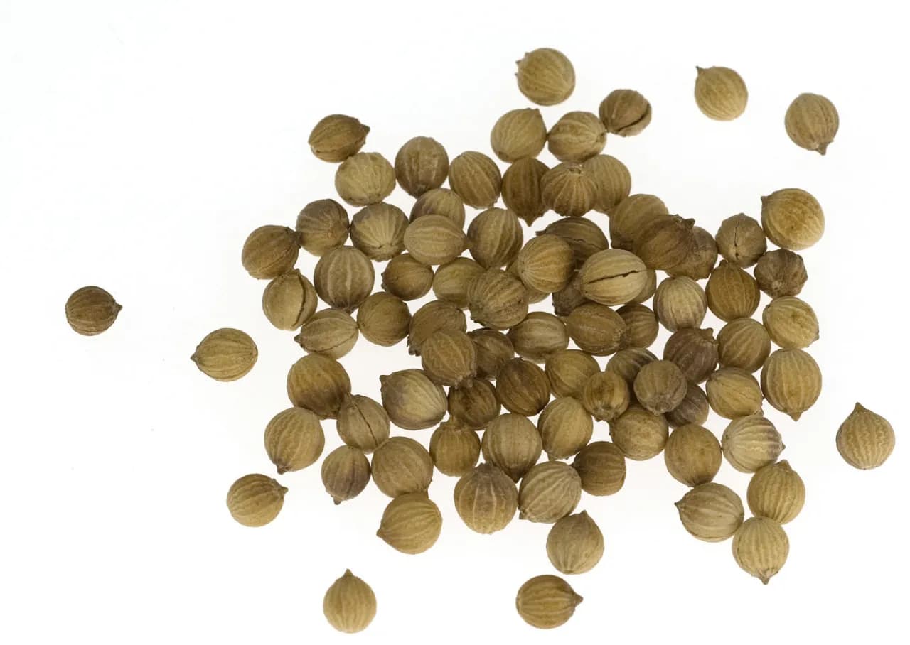 Gdzie kupić olej z kolendry? Sprawdź najlepsze oferty i ceny Gdzie kupić olej z kolendry? Sprawdź najlepsze oferty i ceny