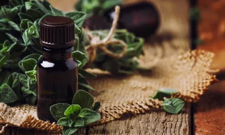 Na co jest olejek oregano? Odkryj jego niezwykłe właściwości zdrowotne