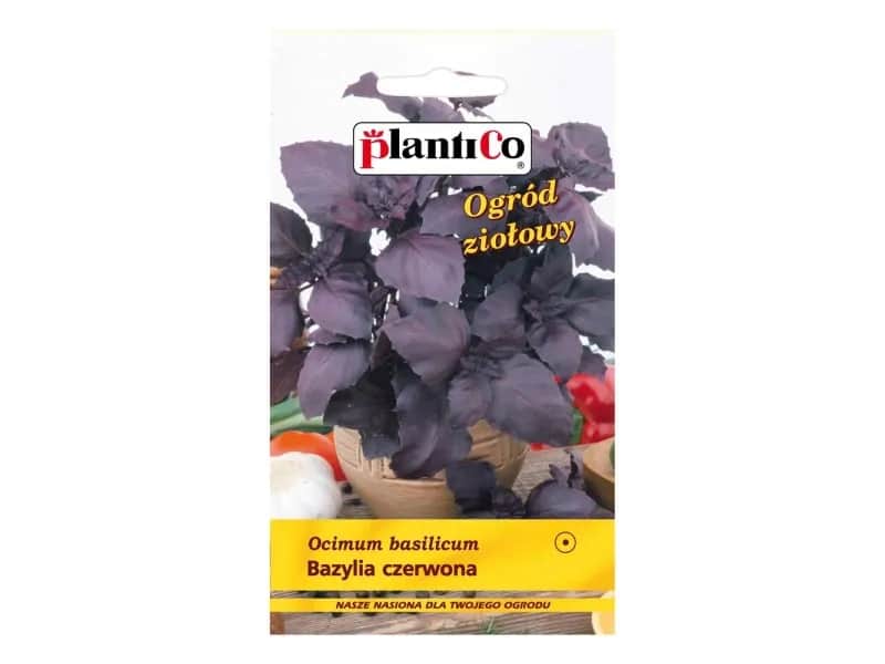 Gdzie kupić bazylię? Sprawdź najlepsze miejsca i ceny!