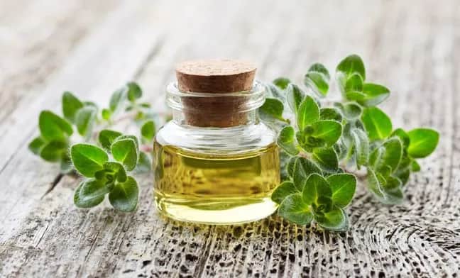 Czy olejek z oregano można podawać dzieciom? Bezpieczeństwo i dawkowanie